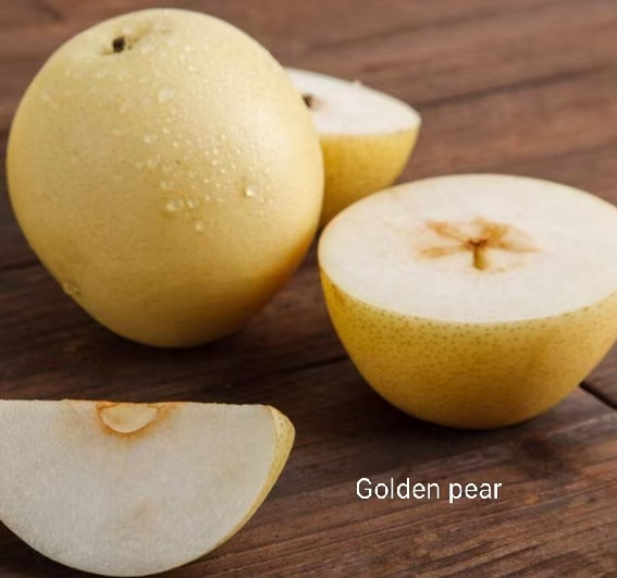 Asian pear